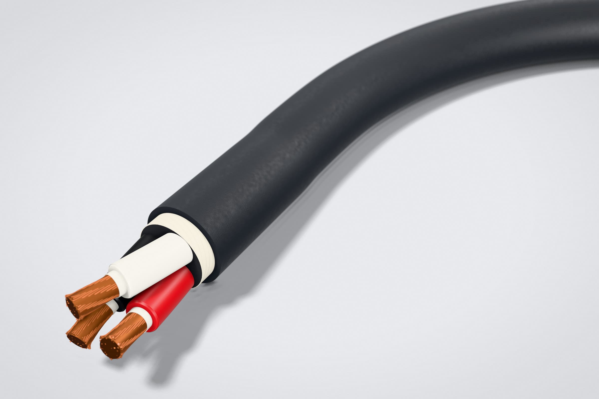 Ilustración 3D de un cable tipo W con la cubierta negra retirada en un extremo: tres conductores de fase de cobre con aislamiento rojo, blanco y negro.