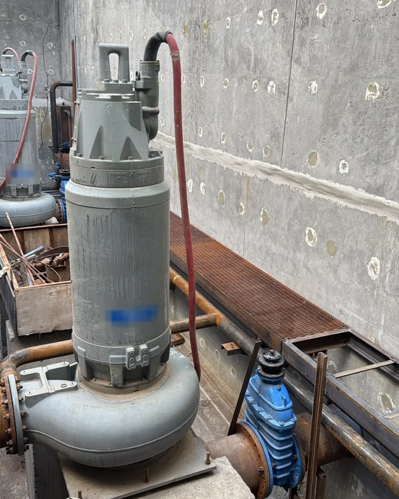 A grey submersible pump standing in a concrete pit, with a red supply cable running up to its cable entry at the top